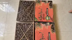 Medjoul Namibian Date Large 5kg