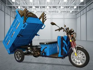 Photo - New Sonlink SL125-10 2024 Brown