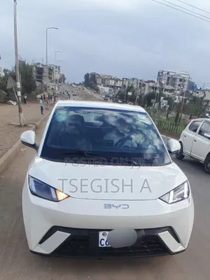 New BYD Seagull 2025 Silver