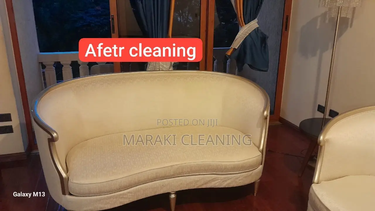 House Cleaning Sofa