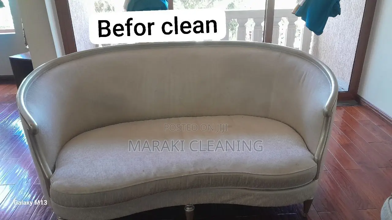 House Cleaning Sofa