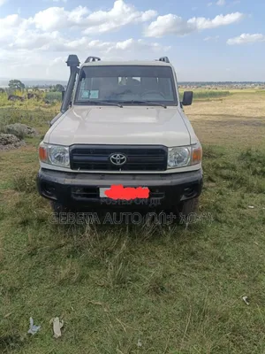 Toyota Land Cruiser 2019