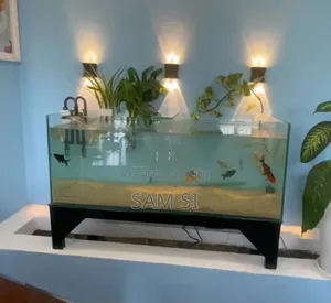 Photo - Aquarium አኩዋሪየም