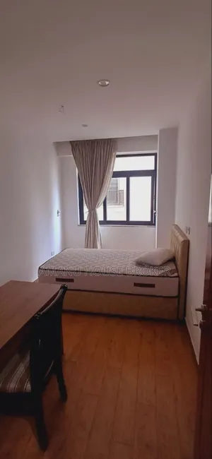 Furnished 3bdrm Apartment in Addis Abeba 🇪🇹, Bole for rent