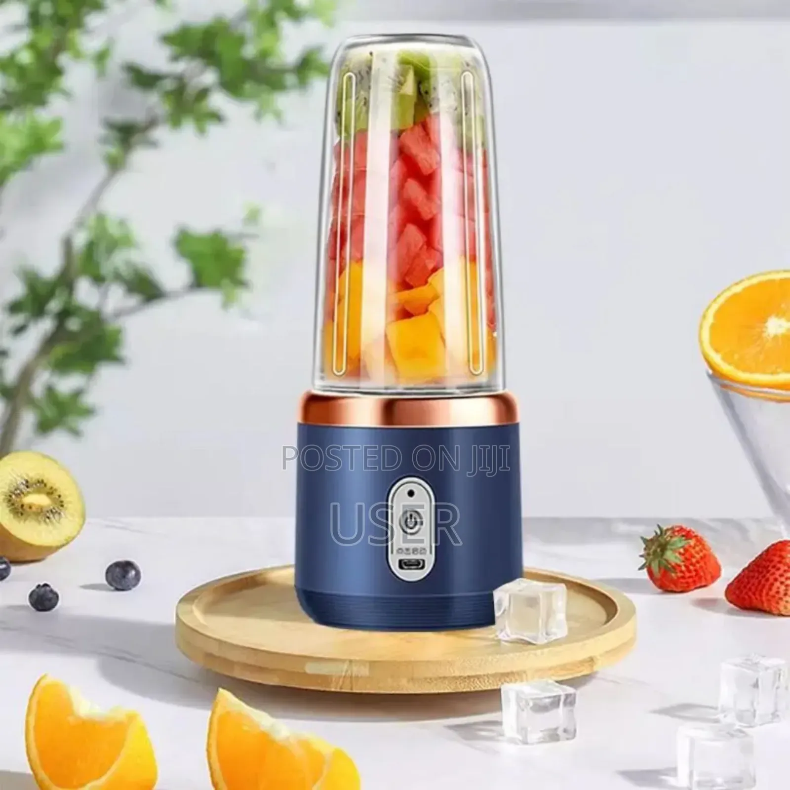 Small Portable Juicer