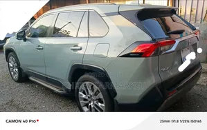 Toyota RAV4 Limited AWD 2019 Green