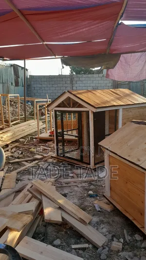 Photo - Modern የውሻ ቤቶች ስራ