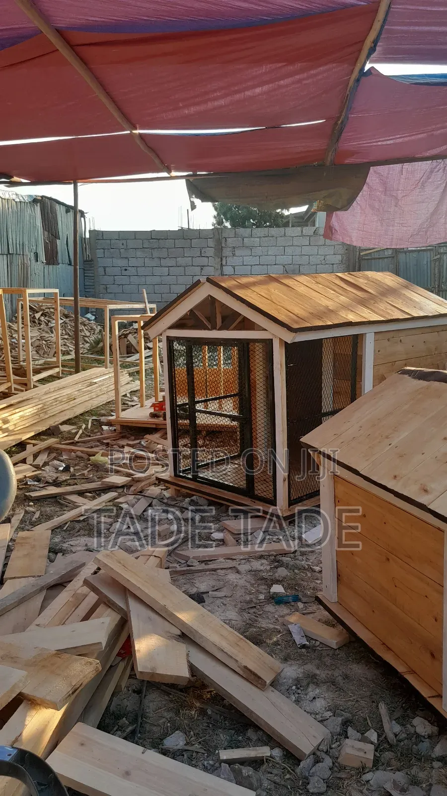 Modern የውሻ ቤቶች ስራ