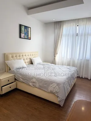 Photo - Furnished 3bdrm Apartment in Addis Abeba , Bole for rent