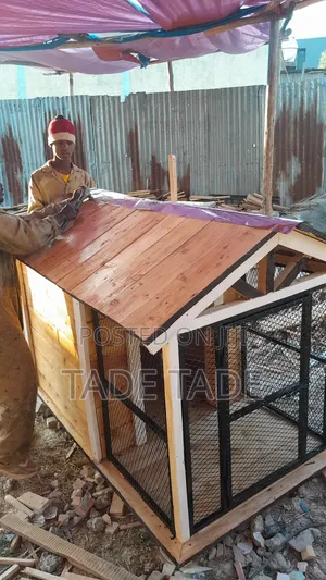 Photo - Wood Dog House