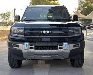 Photo - New BYD Leopard 5 2024 Black