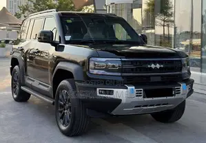 New BYD Leopard 5 2024 Black