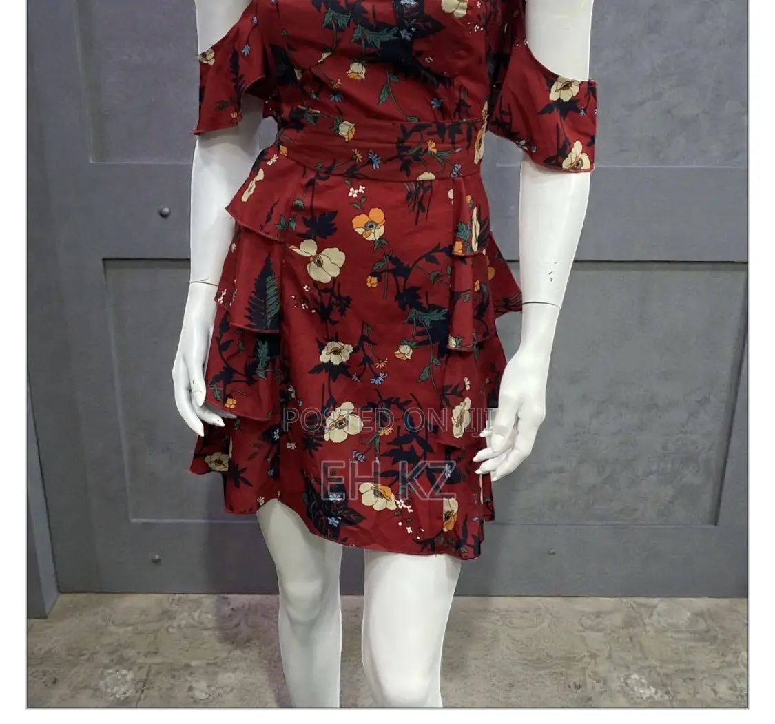 Elegant Women’S Dress