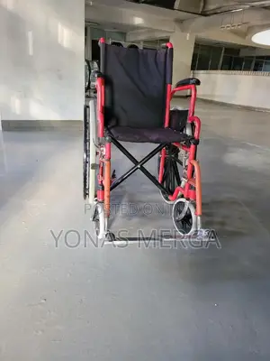 Photo - Lightweight Wheelchairs Have Comfortable Nylon Upholstery a Durable