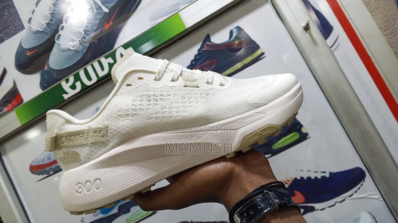 This Is a North Face Altamesa300 Trial Running Shoes With Amulticolor