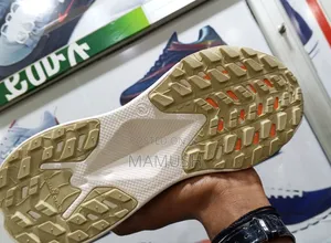 This Is a North Face Altamesa300 Trial Running Shoes With Amulticolor