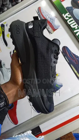 This Is a North Face Altamesa300 Trial Running Shoes With Amulticolor