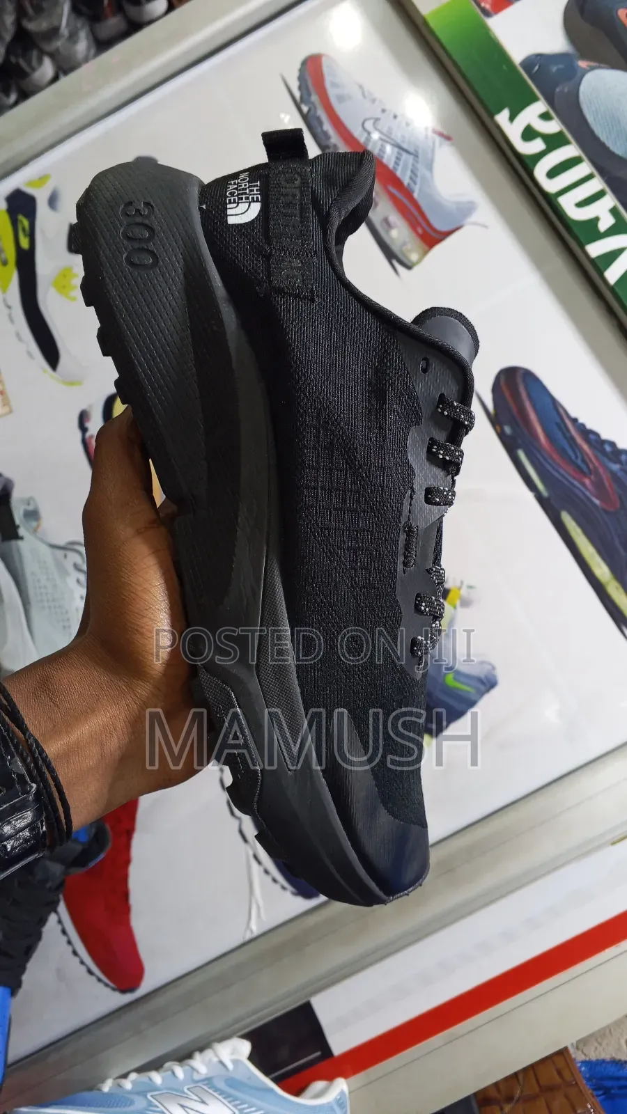 This Is a North Face Altamesa300 Trial Running Shoes With Amulticolor