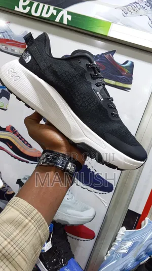 This Is a North Face Altamesa300 Trial Running Shoes With Amulticolor