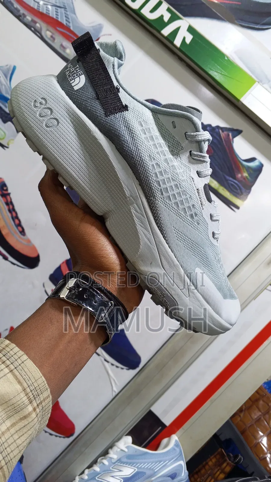 This Is a North Face Altamesa300 Trial Running Shoes With Amulticolor