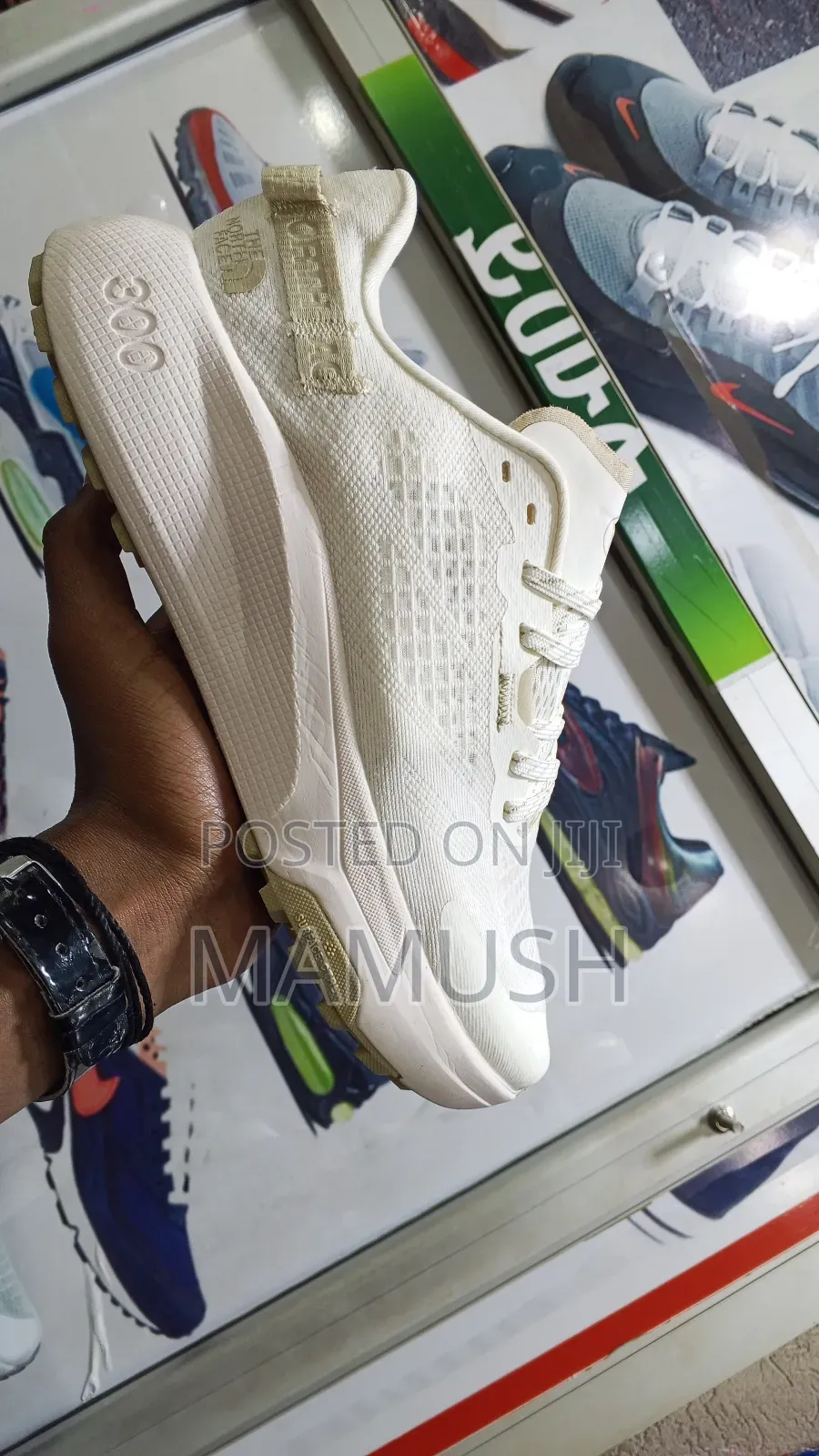 This Is a North Face Altamesa300 Trial Running Shoes With Amulticolor