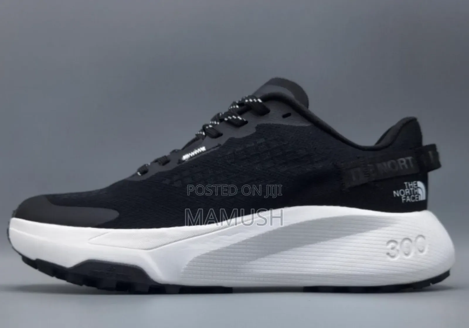 This Is a North Face Altamesa300 Trial Running Shoes With Amulticolor