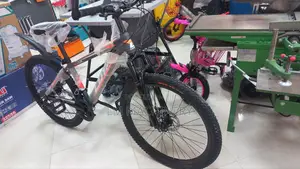 Photo - Luta Adult Bike 26"