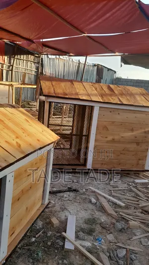 Photo - ካሌብ Dog House Work