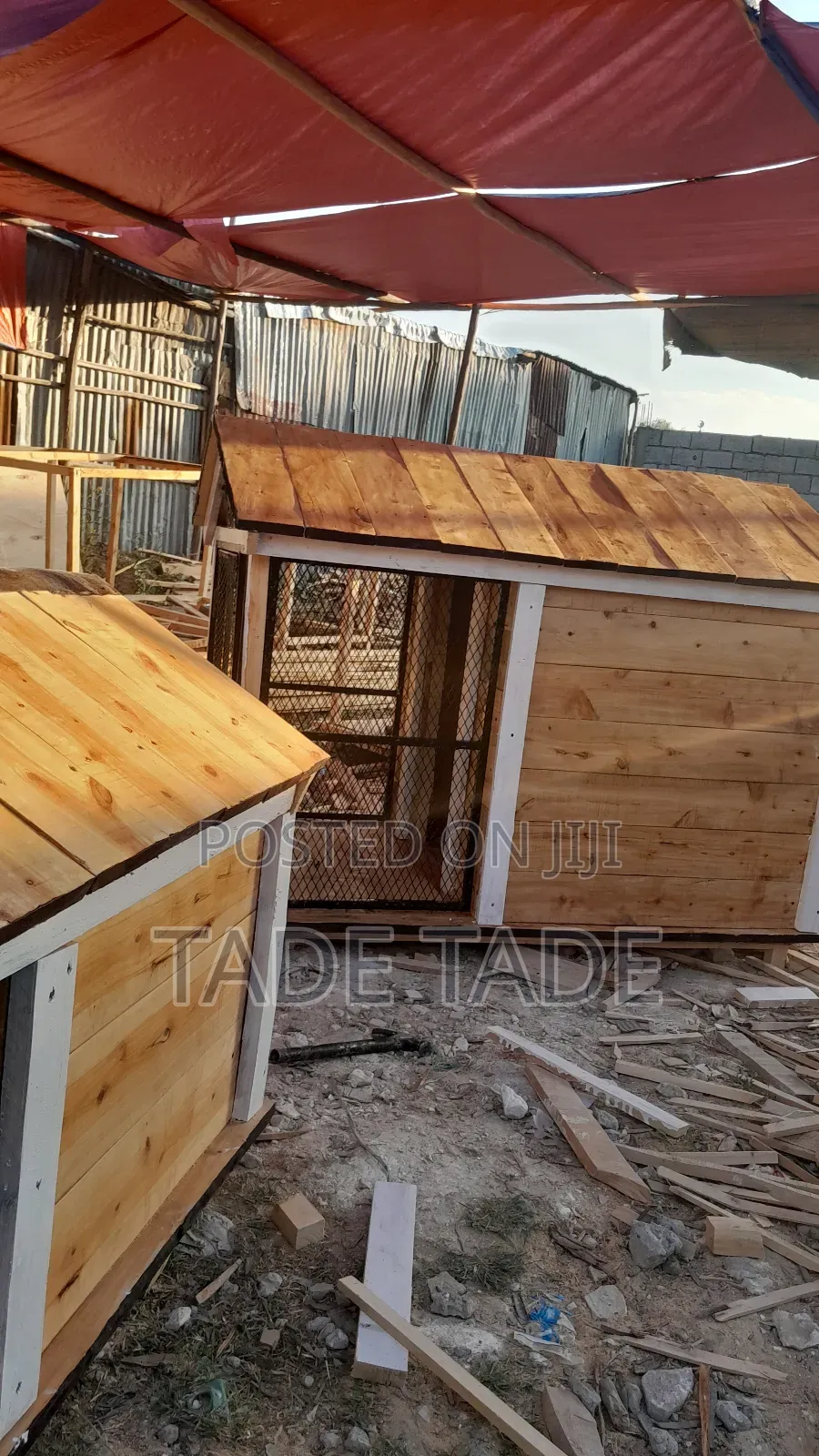 ካሌብ Dog House Work