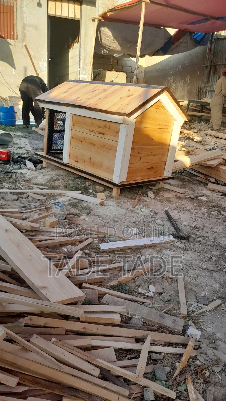 ካሌብ Dog House Work