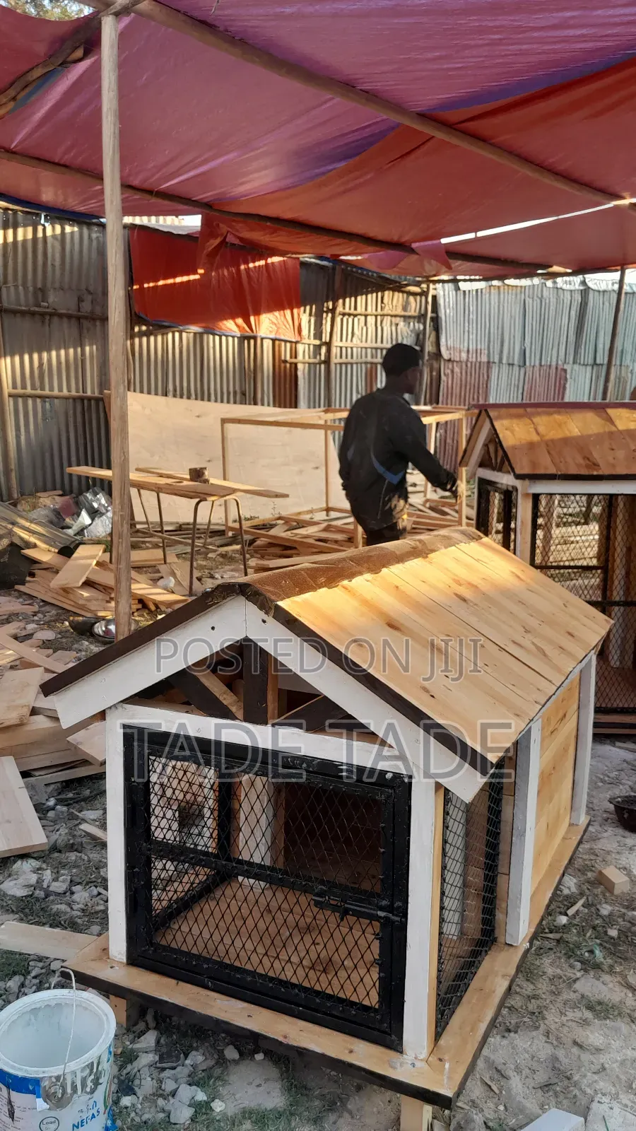 Standard የውሻ ቤት ስራ