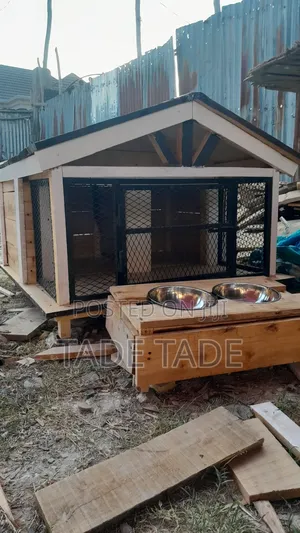 Standard የውሻ ቤት ስራ