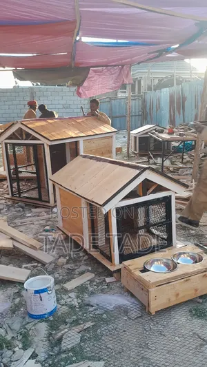 በእንጨት የሚሰሩ ማራኪ የውሻ ቤቶች