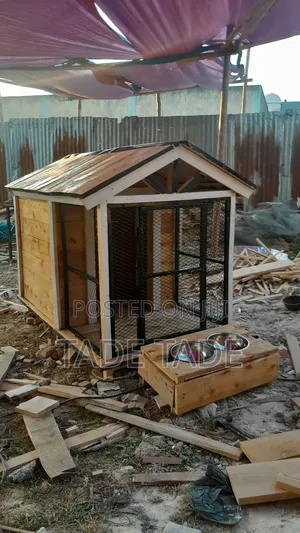 Photo - ጥሩ ምቾት ያላቸው የውሻ ቤቶች