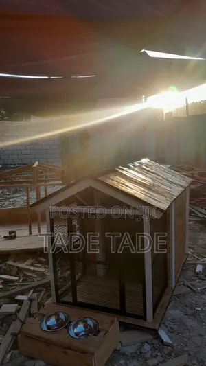 ጥሩ ምቾት ያላቸው የውሻ ቤቶች