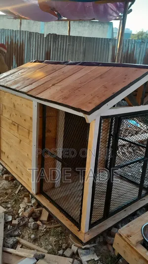 ጥሩ ምቾት ያላቸው የውሻ ቤቶች