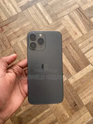 Apple iPhone 13 Pro Max 256 GB Gray