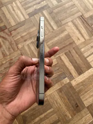 Apple iPhone 13 Pro Max 256 GB Gray