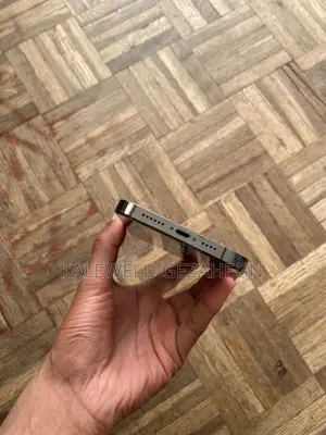 Apple iPhone 13 Pro Max 256 GB Gray