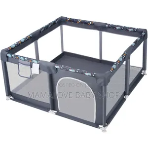 Playpin Kids With Basketball