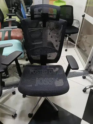 Erigonomic Chairs