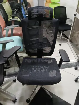 Erigonomic Chairs