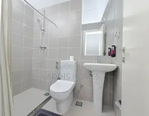 Furnished 4bdrm Apartment in Bole for rent