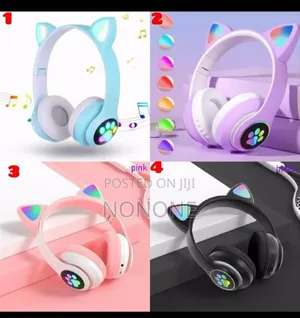 Photo - Headphones Cat