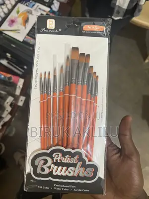 Brush 12 PCS Quality