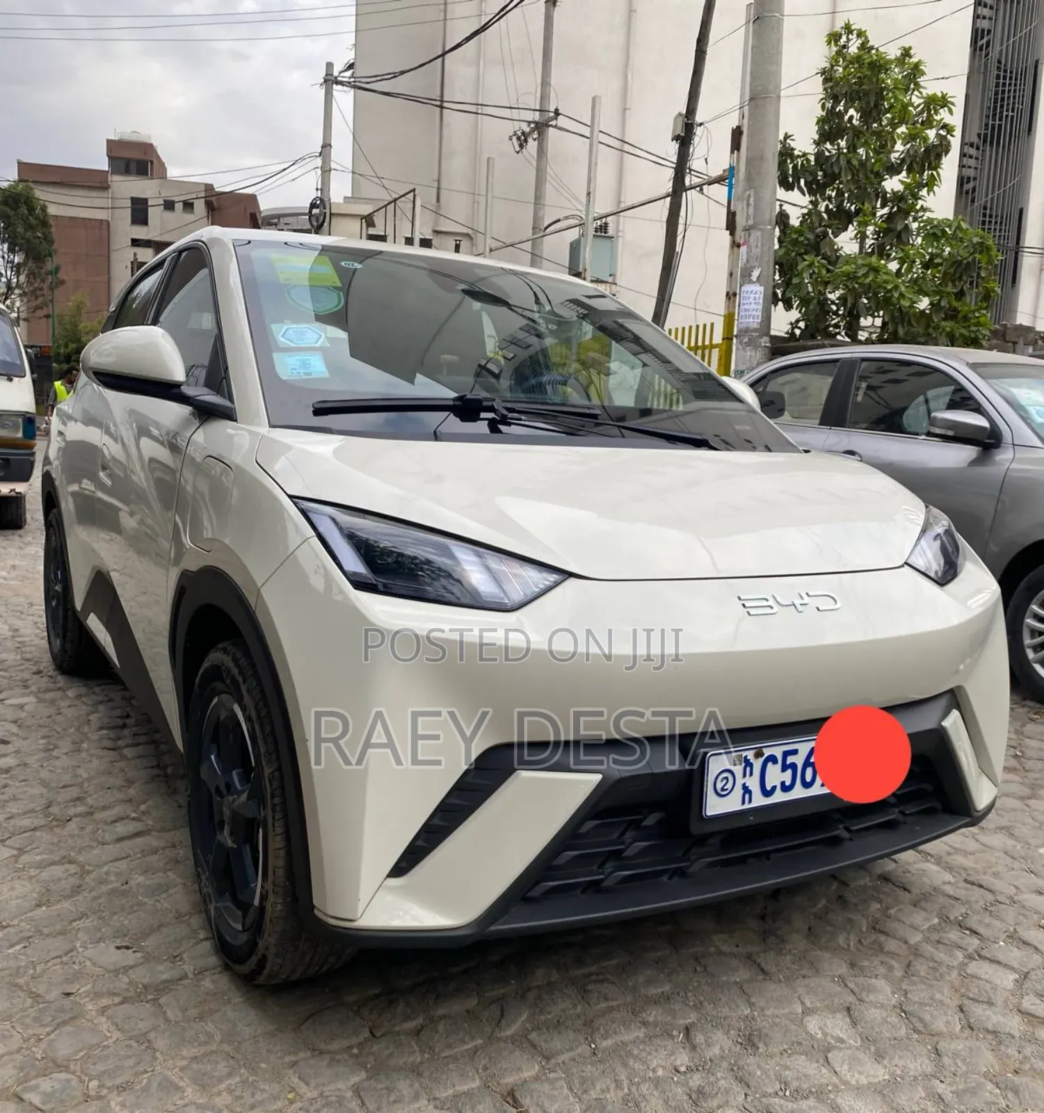 BYD Seagull 2024 White