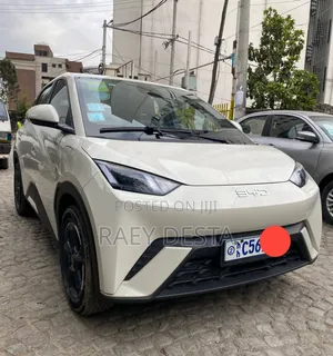 Photo - BYD Seagull 2024 White