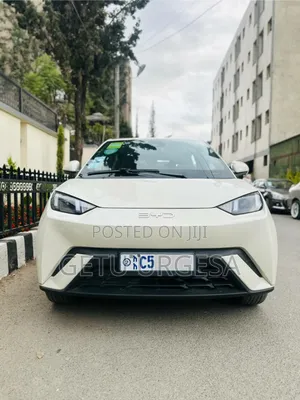 Photo - New BYD Seagull 38 kWh FWD 2024 White