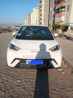 Photo - New BYD Seagull 2024 Silver