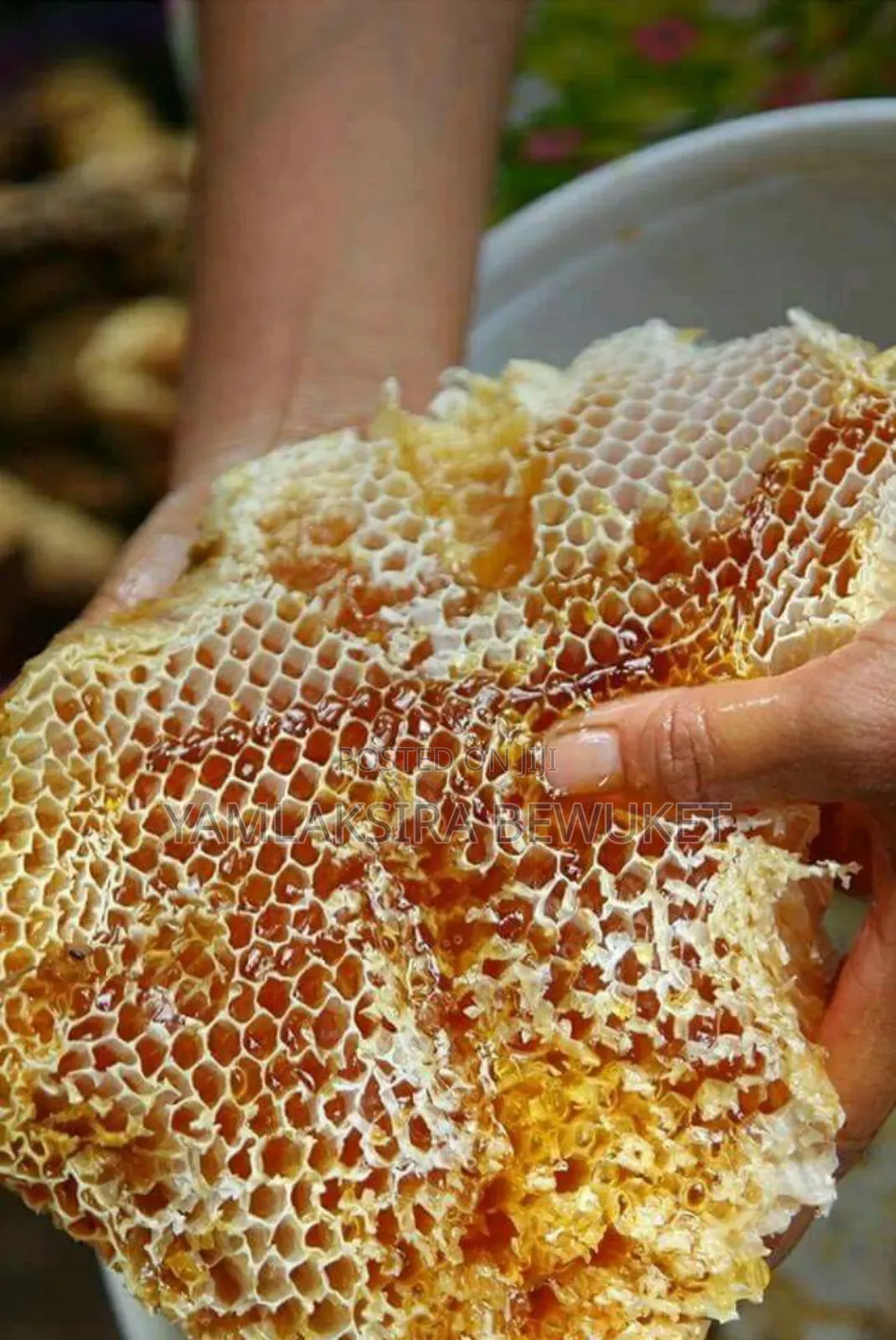 ንፁህ የጎጃም ማር ምትፈልጉ አዋሩኝ